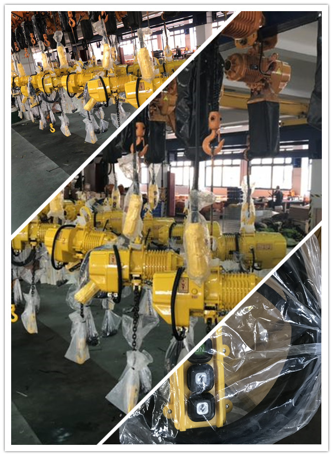 ALLMAN Electric Chain Hoist
